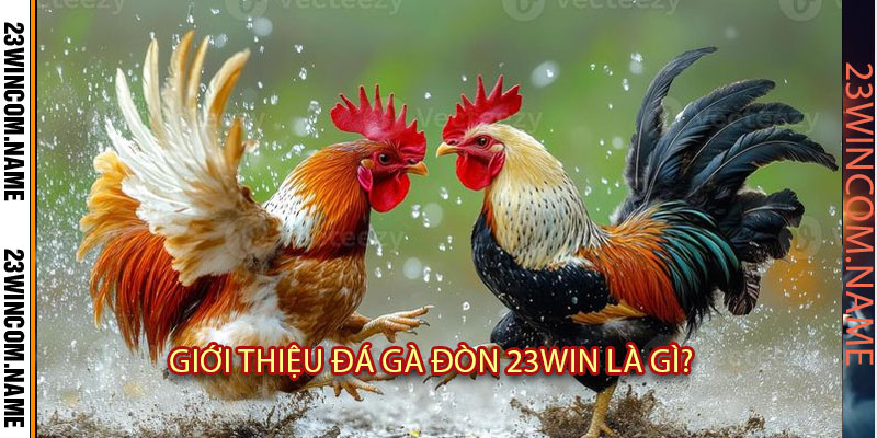 Giới thiệu Đá gà đòn 23WIN là gì?