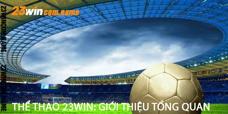 Thể Thao 23Win: Giới Thiệu Tổng Quan