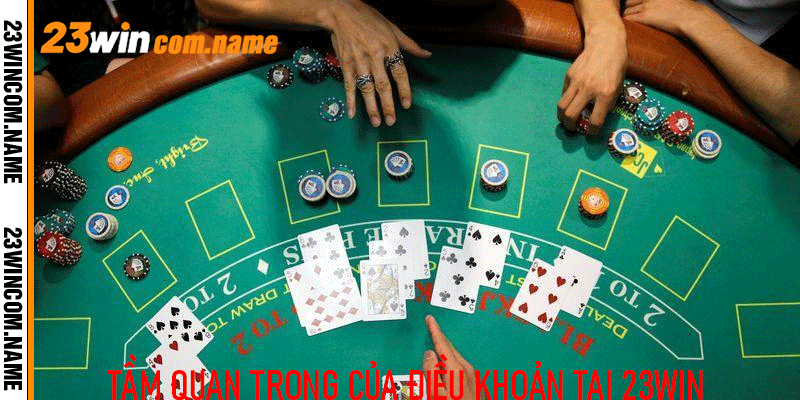 Tầm quan trọng của điều khoản tại 23Win