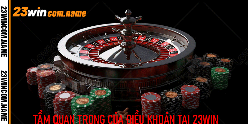 Các điều khoản cơ bản cần lưu ý tại 23Win